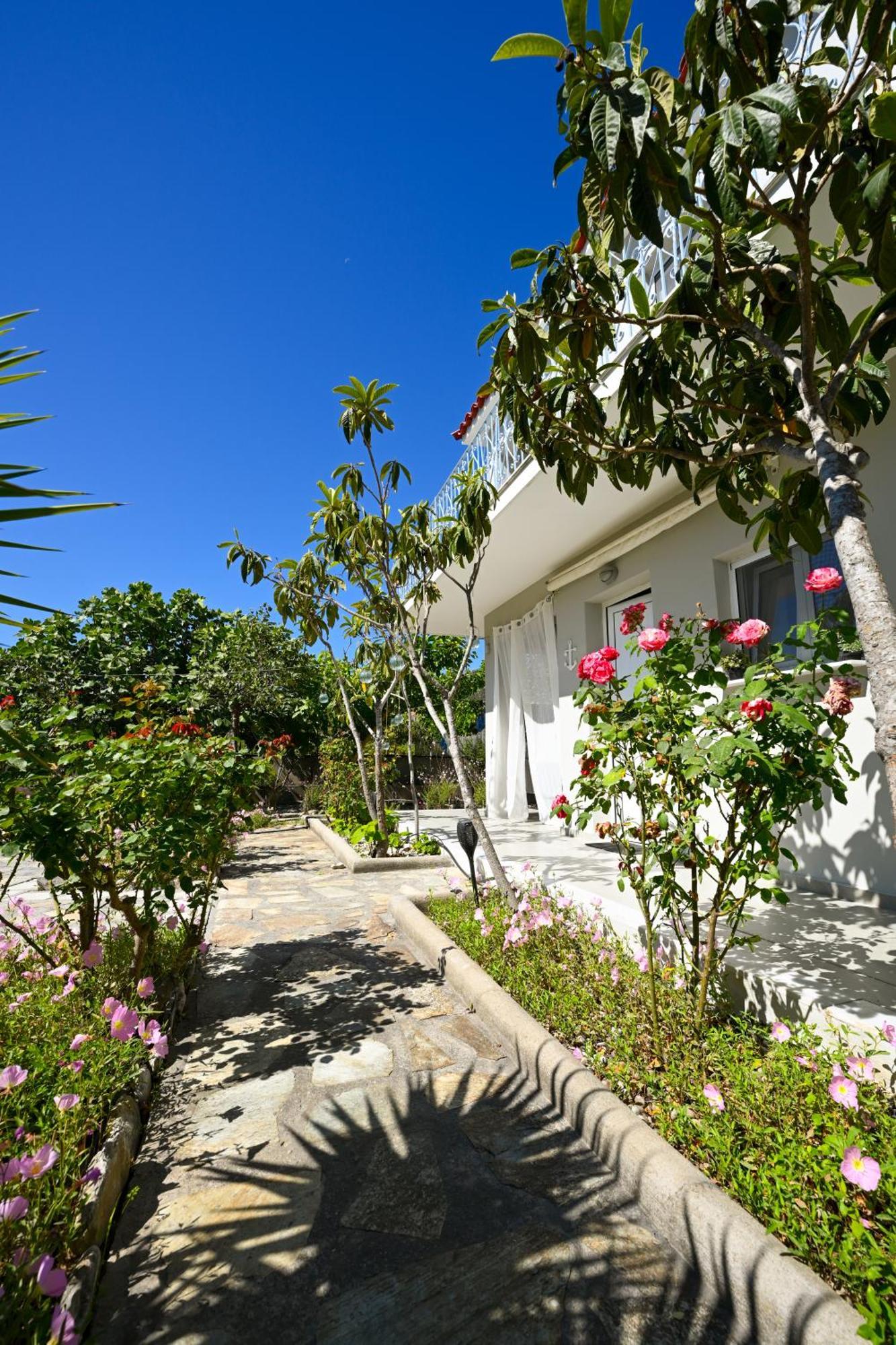 Anchor Villa ตรูโลส ภายนอก รูปภาพ